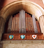 Organ picture